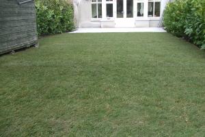 View 3 from project Natural grass lawns