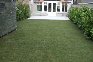 View 5 from project Natural grass lawns